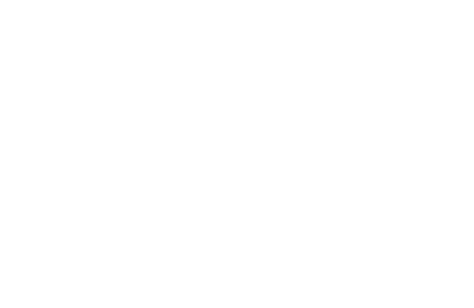 Reli Risk Solutions